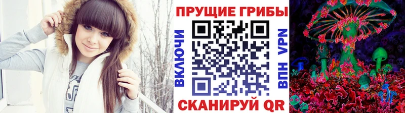 где продают наркотики  blacksprut рабочий сайт  Псилоцибиновые грибы Cubensis  Боровичи 